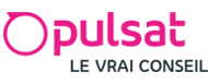 Logo-Pulsat
